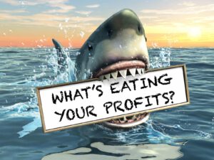 Shark with white chalkboard that reads "What's Eating Your Profits?"